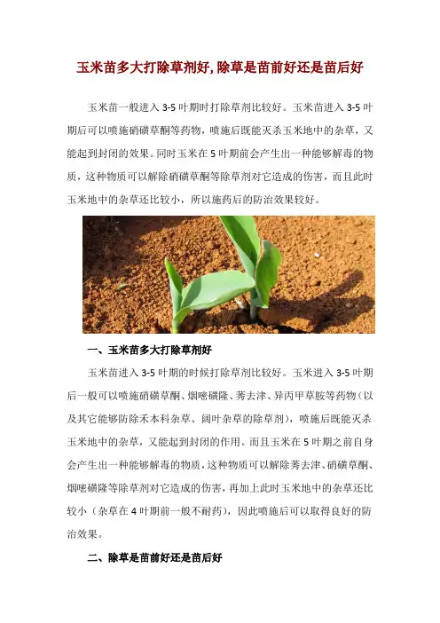 玉米苗多大打除草剂好,除草是苗前好还是苗后好
