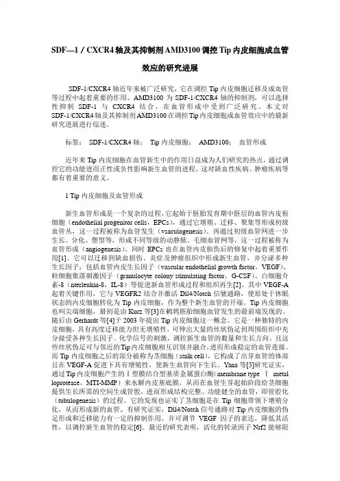 SDF—1／CXCR4轴及其抑制剂AMD3100调控Tip内皮细胞成血管效应的研究进展