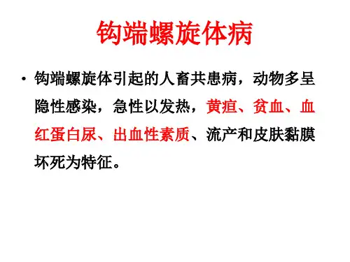 钩端螺旋体病课件