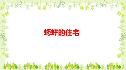 蟋蟀的住宅ppt课件