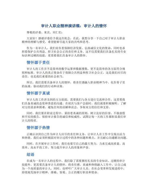 审计人职业精神演讲稿：审计人的情怀