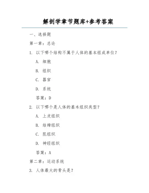 解剖学章节题库+参考答案 