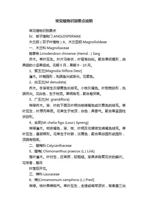 常见植物识别要点说明