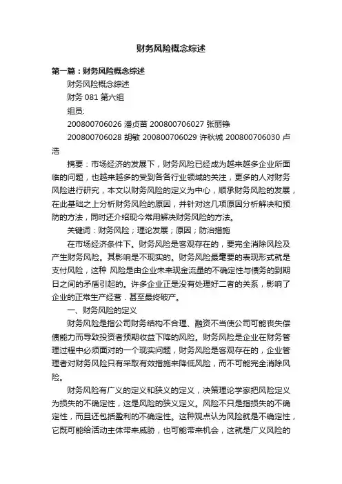 财务风险概念综述