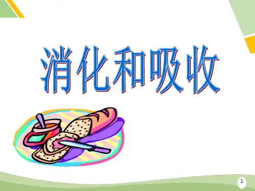 第一章第二节 消化和吸收-2022-2023学年七年级生物下册同步教学精品课件(济南版)