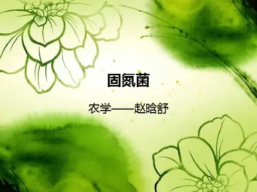 固氮菌