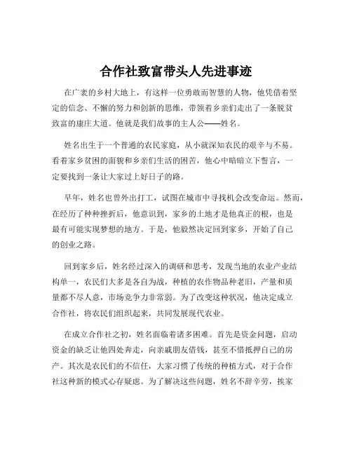 合作社致富带头人先进事迹