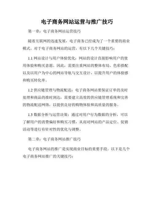 电子商务网站运营与推广技巧