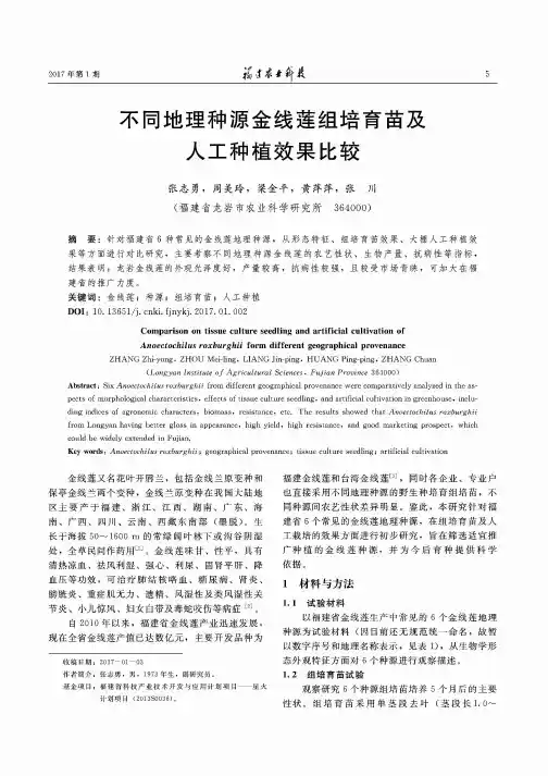 不同地理种源金线莲组培育苗及人工种植效果比较