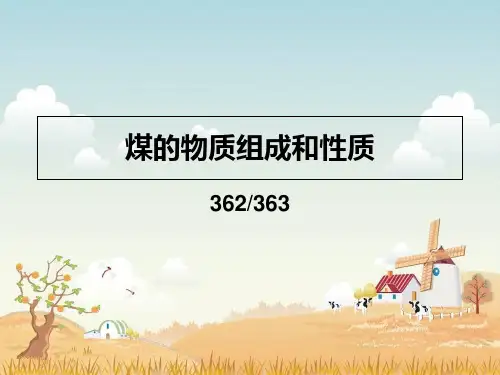 煤的物质组成和性质