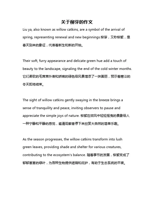 关于柳芽的作文