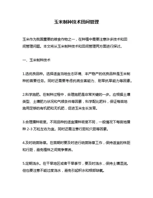 玉米制种技术田间管理