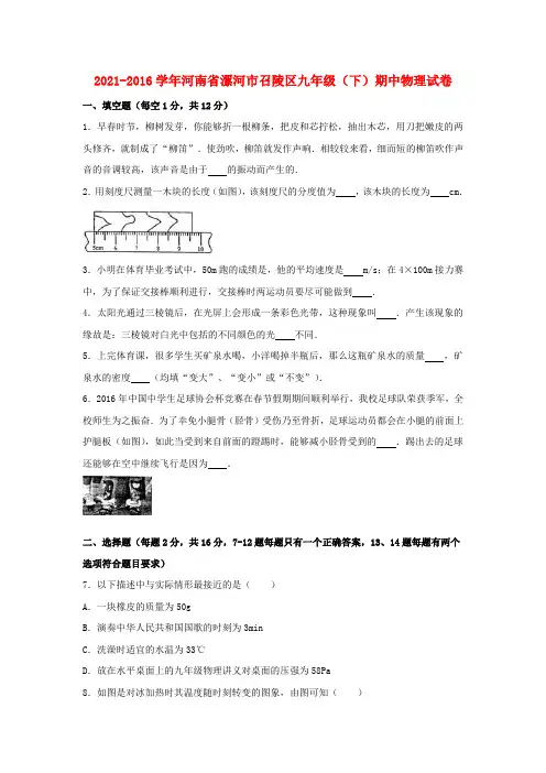 九年级物理下学期期中试卷含解析2