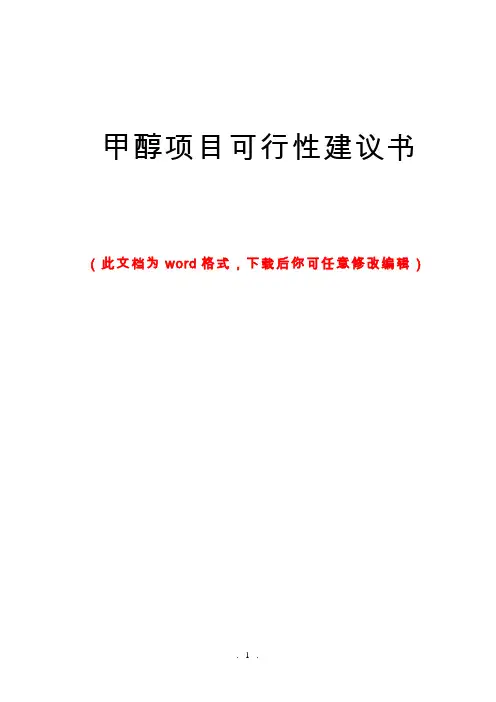 甲醇项目可行性建议书