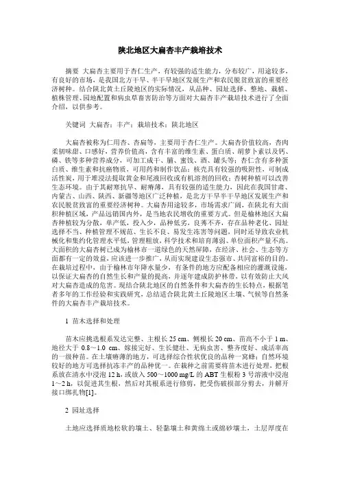 陕北地区大扁杏丰产栽培技术