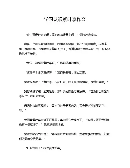 学习认识紫叶李作文