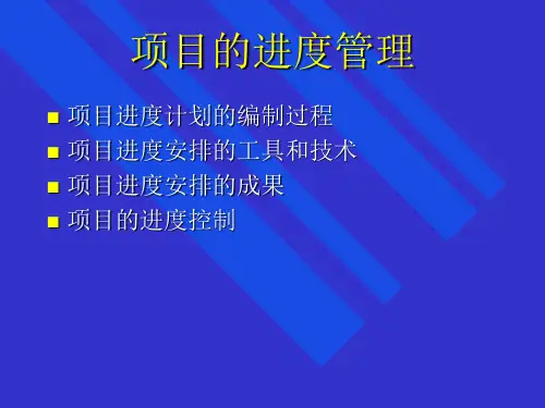 项目的进度管理
