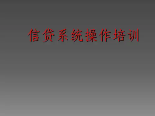 信贷系统操作ppt课件