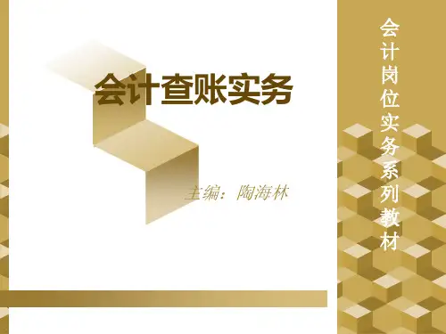 2019年会计查账实务.ppt