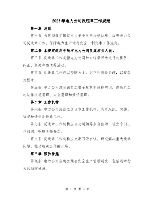2023年电力公司反违章工作规定