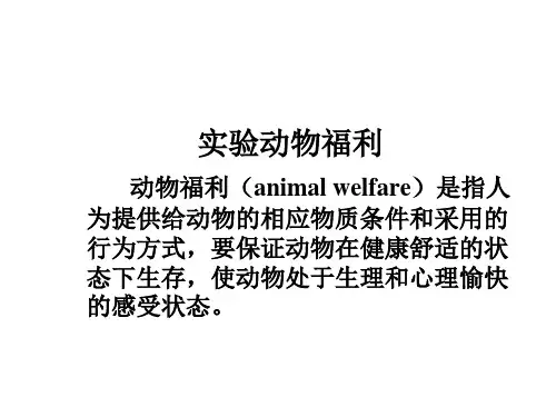 动物福利实验动物的行为、应激和疼痛.pptx