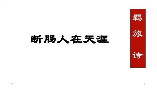 高考语文 羁旅诗鉴赏汇总   课件(共52页)