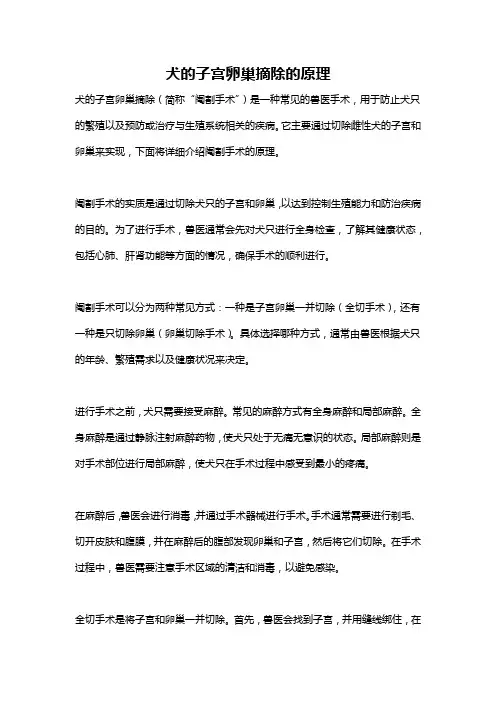 犬的子宫卵巢摘除的原理