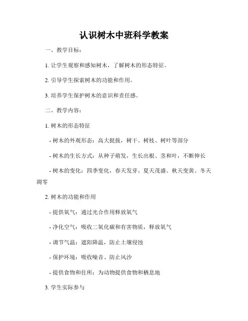 认识树木中班科学教案