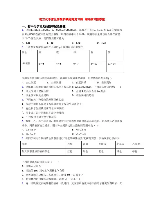 初三化学常见的酸和碱提高复习课 课时练习附答案