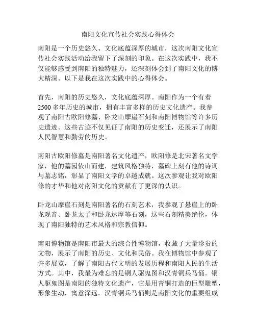 南阳文化宣传社会实践心得体会