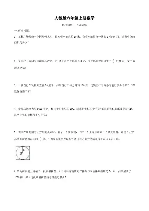 人教版六年级上册数学  解决问题   专项训练