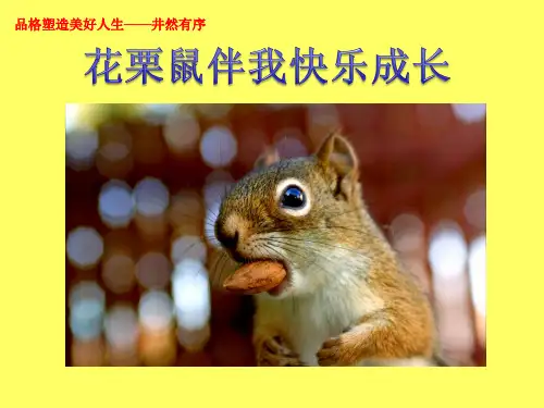 小学品格教育主题《井然有序》课件