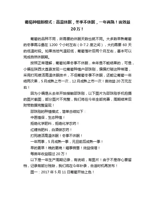 葡萄种植新模式：高温休眠，冬季不休眠，一年两熟！亩效益20万！