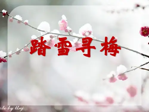 人教版音乐九上《踏雪寻梅》ppt课件