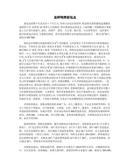 怎样饲养面包虫