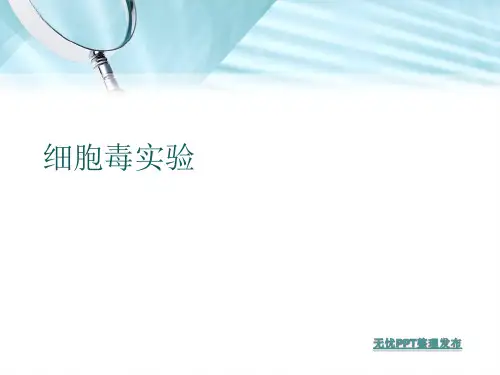 细胞毒实验