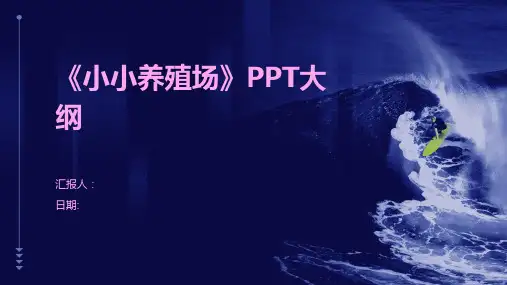 《小小养殖场》PPT大纲