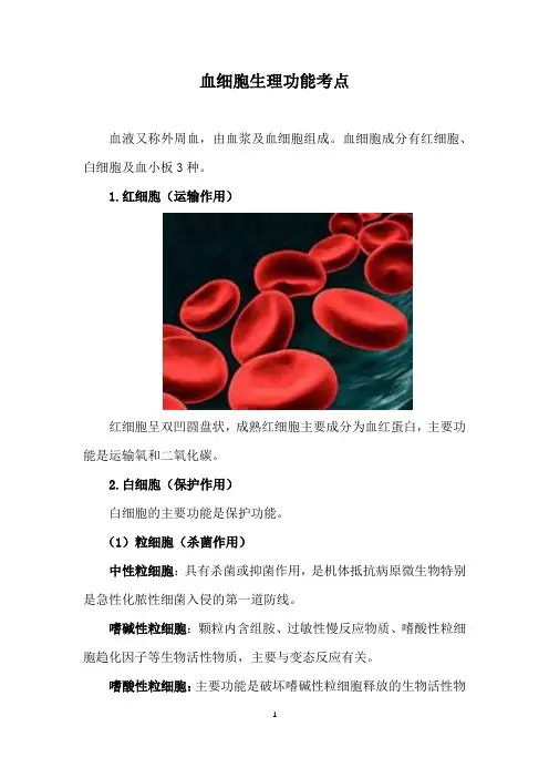 血细胞生理功能考点