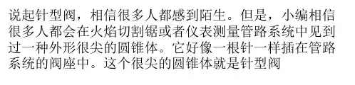 针型阀介绍     针型阀选型与安装原则介绍