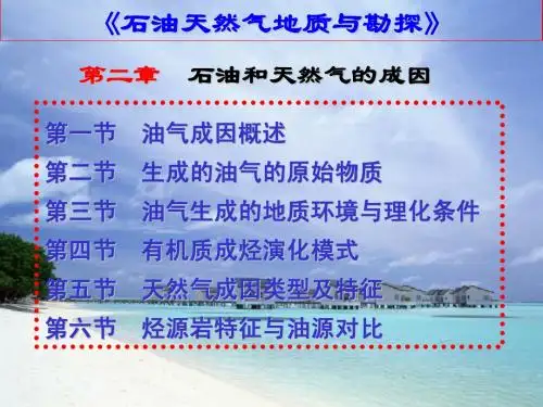 第二章 石油成因