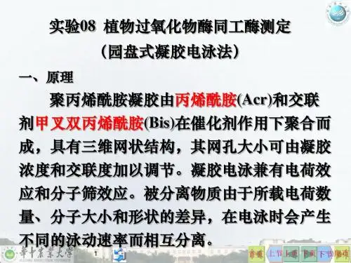 华中农业大学植物过氧化物酶同工酶测定-ct-PPT课件