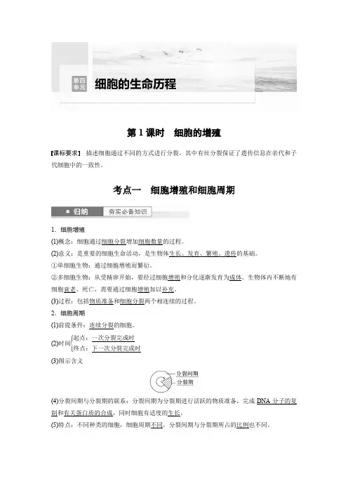 2024届高考一轮复习生物学案(人教版)第四单元细胞的生命历程第1课时细胞的增殖