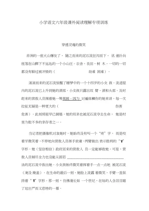 (完整word版)小学语文六年级课外阅读理解专项训练