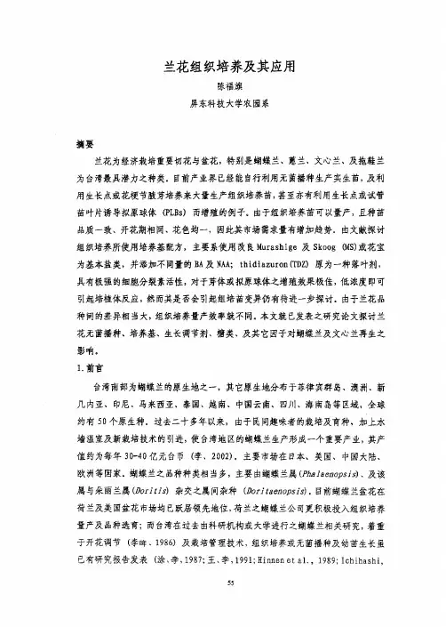 兰花组织培养及其应用