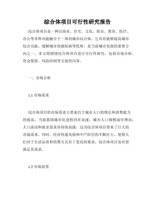 综合体项目可行性研究报告