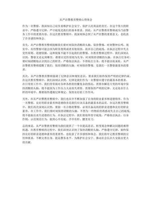 从严治警教育整顿心得体会