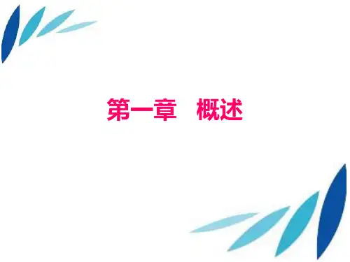 第1章 概述 《政府与非营利组织会计》PPT课件