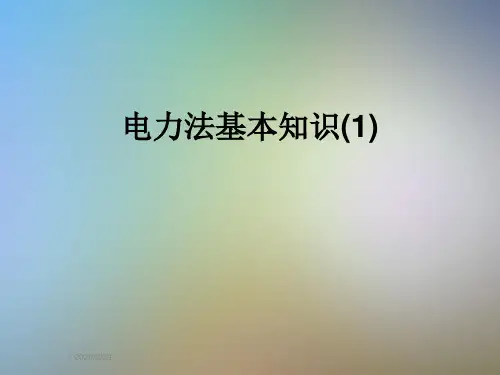 电力法基本知识(1)