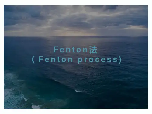 Fenton法氧化技术培训ppt