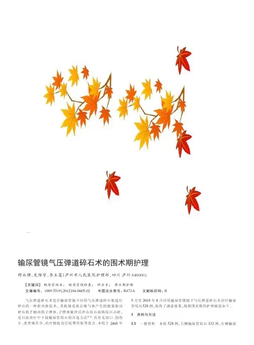 输尿管镜气压弹道碎石术的围术期护理